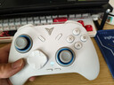 飞智冰原狼4多模版无线游戏手柄 类xbox 力调节摇杆双切扳机 switch电脑PC手机steam体感NS 丝之歌 实拍图