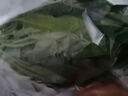 大菠菜300g 实拍图
