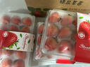 樱鲜多地次日达顺丰JD丹东99红颜牛奶奶油甜草莓新鲜水果年货送礼盒装 3盒 甄选果【45枚】单果18-26g 实拍图