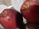 京鲜生 甘肃天水花牛苹果 又大又红 净重4斤 单果160g起  新鲜水果  实拍图