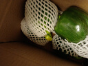 新鲜绿菜椒现摘山东圆椒青椒太空甜椒蔬菜灯笼椒生吃蔬菜沙拉 新鲜圆椒2斤 实拍图