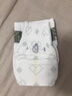 babycare皇室狮子王国纸尿裤bbc婴儿尿不湿尿片夏季超薄透气尿布试用装 迷你装S码 1包 29片 【适合4-8KG】 实拍图
