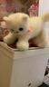 mimiworld公主小猫咪仿真动物女孩玩具过家家儿童玩具3-6岁女孩生日礼物 实拍图