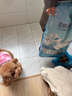 伯纳天纯小型成犬粮泰迪比熊博美天然粮樱桃味狗粮10kg/20斤 实拍图