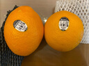 美国进口新奇士3107黑标脐橙Sunkist进口橙子甜橙单果170-210克 10个大果 实拍图