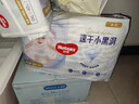 好奇（Huggies）金装拉拉裤XXL42片*2(15kg以上)尿不湿【速干不易红】 实拍图