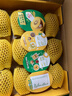 佳沛（zespri）新西兰 阳光金奇异果12粒礼盒特大果单果约122-146g 猕猴桃 水果 实拍图