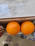 农夫山泉 17.5°橙 赣南地区脐橙 净重6斤 铂金果 生鲜水果橙子年货礼盒 实拍图