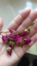 南同四海南京同仁堂平阴玫瑰花茶搭墨红玫瑰花瓣玫瑰花干玫瑰鲜花泡水食用 实拍图