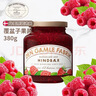 DEN GAMLE FABRIK(DGF)丹麦进口 覆盆子果肉果酱380g面包搭档早餐伴侣 实拍图