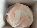姬欲飞机杯1:1生理还原倒模膜充气仿阴硅胶娃娃实体大尺度玩具情趣 实拍图