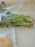 带根香菜100g 实拍图