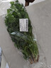 带根香菜100g 实拍图