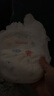 好奇（Huggies）金装拉拉裤XL96片(12-17kg)尿不湿【速干不易红】 实拍图