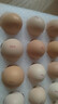 京鲜生柴鸡蛋30枚 3斤 无抗生素 谷物喂养鲜鸡蛋 源头直发 实拍图