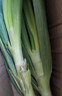 正宗山东大葱精品新鲜甜脆山东铁杆大葱特产蔬菜 新鲜大葱【2斤】 实拍图