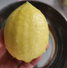 京鲜生 安岳黄柠檬16粒 单果95g-120g 生鲜水果 实拍图