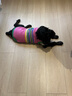 MIKI PAD狗狗衣服秋冬加厚保暖背心猫咪衣服宠物毛衣小型犬比熊泰迪雪纳瑞 彩虹条纹毛衣 2XL 胸围53cm(参考体重20-26斤) 实拍图