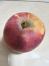 果陆园正宗冰糖心苹果红富士 脆甜时令丑苹果 整箱平果节日送礼平安果 整箱5斤精选70-90MM净4.5斤 实拍图