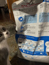 皇家室内成猫粮 I27 通用粮 12月以上 10KG 实拍图