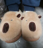 利达妮（TZLDN）卡皮巴拉儿童棉拖鞋女童6-12岁冬季室内家用保暖加绒可爱拖鞋男孩 实拍图