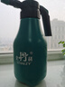 史丹利喷壶浇花喷水壶家用小型气压式洒水浇水壶园艺打药清洁专用 实拍图