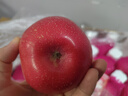 京鲜生 山西红富士苹果 净重8斤 单果75mm+ 生鲜水果 源头直发 实拍图