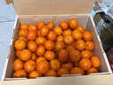 京鲜生 广西砂糖橘 净重4.5斤 单果35-45mm  生鲜礼盒 源头直发包邮 实拍图
