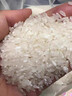 五常大米 核心山产区 一年一季100%新粮 香米真空锁鲜 包邮 五常大米500g 实拍图