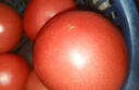 新鲜沙瓤大番茄生吃西红柿减肥早餐即食新鲜蔬菜生鲜单果＞100g 畅销装 2斤 带箱 实拍图