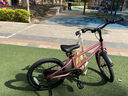 途锐达京东自营超轻儿童自行车3-6岁小女孩单车女童元旦礼物蜂鸟18寸粉 实拍图