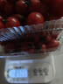 新鲜采摘圣女果樱桃小番茄蔬菜 带箱2斤精选果 实拍图