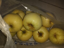 甜醉了 烟台苹果黄元帅粉面苹果黄金帅黄香蕉山东新鲜水果当季整箱鲜果 净重5斤特大果85mm 实拍图