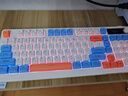 前行者V98Pro无线键盘蓝牙有线三模带屏幕机械手感静音办公便携薄膜键盘电竞游戏电脑笔记本平板iPad通用 实拍图