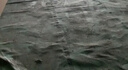 绿族EVA地膜装修地面保护膜加厚地砖瓷砖木地板铺垫保护垫25平米2.0mm 实拍图