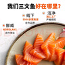 海天下冰鲜挪威三文鱼刺身 鱼腩双拼切片 净重400g【生食资质】源头直发 实拍图