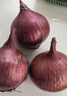 京鲜生云南紫皮洋葱 净重9斤 带皮洋葱头 新鲜蔬菜 紫皮大圆葱 源头直发 实拍图