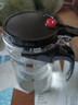 飘逸壶泡茶壶耐热高温玻璃沏茶过滤内胆冲茶器家用茶具套装 飘逸杯500mL1个 实拍图