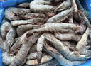 百年渔港海捕对虾超大盐冻只只分离白虾  30-40规格 净虾重4斤 60-80只 实拍图