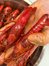 今锦上麻辣小龙虾3斤 4-6钱 净虾1.5斤 中号25-33只 实拍图