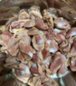 华都食品单冻鸡胗 2斤/袋 冷冻 出口级 烧烤鸡胗鸡肫卤味卤煮食材 实拍图