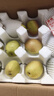 源自新疆红香酥梨新鲜梨子3/5/10斤脆甜皮薄梨子应季水果整箱批发 净重9斤实惠中果 实拍图