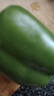 新鲜绿菜椒现摘山东圆椒青椒太空甜椒蔬菜灯笼椒生吃蔬菜沙拉 新鲜圆椒3斤 实拍图