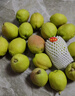 京鲜生 新疆特级库尔勒香梨 净重5斤单果120g以上 生鲜水果 实拍图