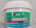 立邦补墙漆腻子膏抗菌防霉补墙面修补膏墙皮脱落修补膏白色2.5kg 实拍图
