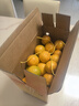 青舞正宗广东德庆皇帝柑贡柑新鲜水果精选大果非沃橙橘桔子装孕妇水果 10斤礼盒装精选大果（净9.2斤） 实拍图
