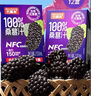 巴麗岛饮料果汁100%桑葚汁200ml*12盒 黑桑椹果汁桑椹花青素纯果汁 实拍图