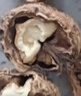 千柏山云南薄皮核桃干果2024新货原生纸皮黑桃手剥丑核桃仁坚果孕妇零食 【5斤整箱】云南薄皮核桃2.5kg大果 实拍图