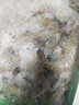 果勋鲜活速冻黑虎虾净重1.4斤30-40只/盒海鲜大虾类高虾青素海鲜水产 实拍图