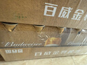 百威金尊啤酒500ml*18听整箱装 单一麦芽10度原麦京东自营新年送礼 实拍图